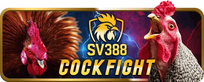 Hoàn trả hàng ngày Win5501